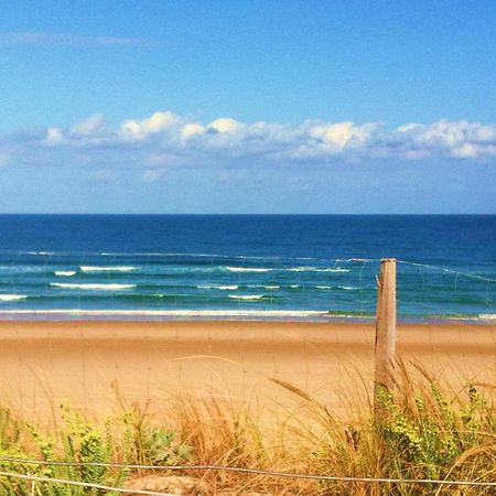 Apartmán Biscarrosse T2 Avec Terrasse 4 Couchages Exteriér fotografie